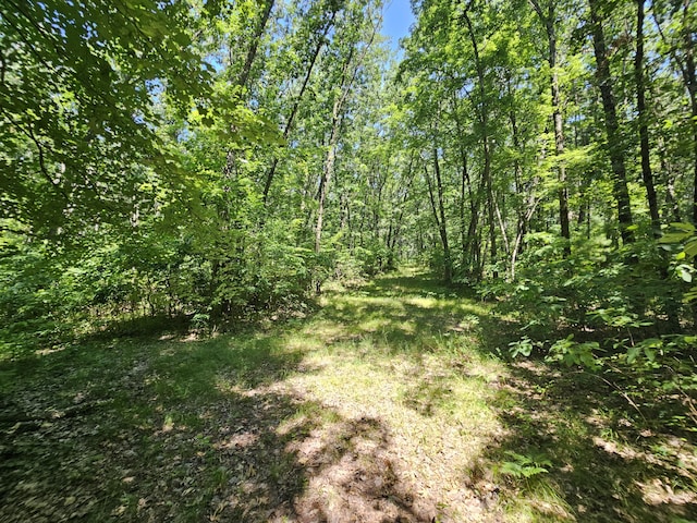 8523 E Shady Rdg, Howard City, MI 49329 - photo 39