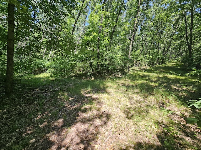 8523 E Shady Rdg, Howard City, MI 49329 - photo 40