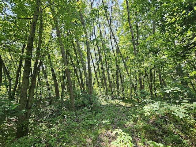 8523 E Shady Rdg, Howard City, MI 49329 - photo 42