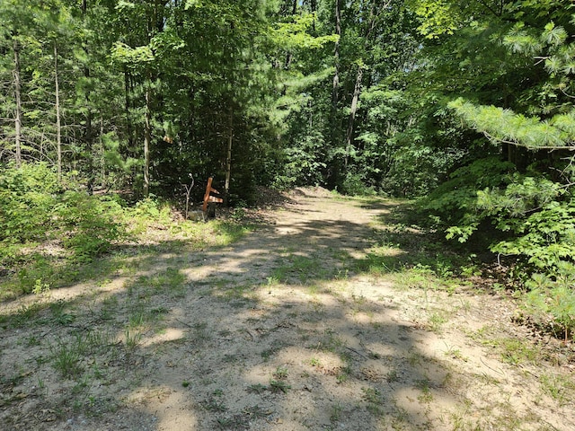 8523 E Shady Rdg, Howard City, MI 49329 - photo 47
