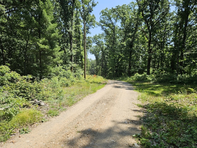 8523 E Shady Rdg, Howard City, MI 49329 - photo 49