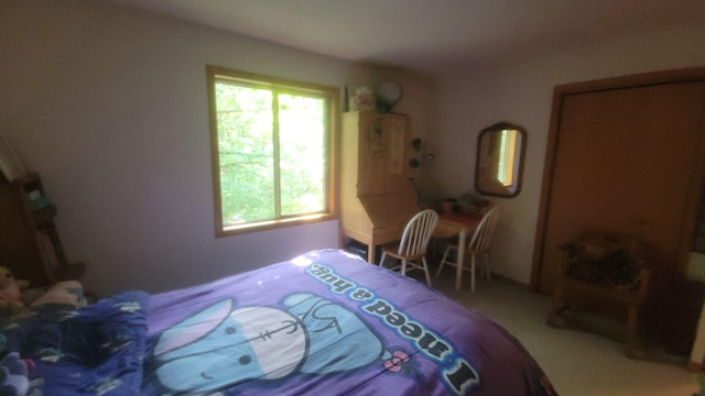8523 E Shady Rdg, Howard City, MI 49329 - photo 23