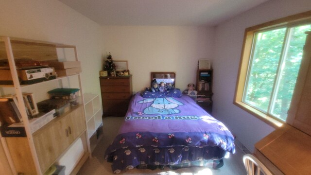 8523 E Shady Rdg, Howard City, MI 49329 - photo 24
