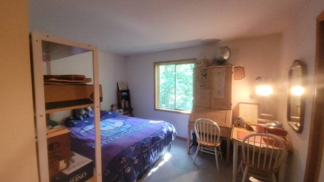 8523 E Shady Rdg, Howard City, MI 49329 - photo 25