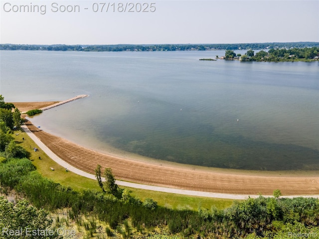 520 Lake Vlg, Waterford, MI 48328 - photo 42