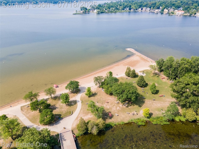 520 Lake Vlg, Waterford, MI 48328 - photo 43
