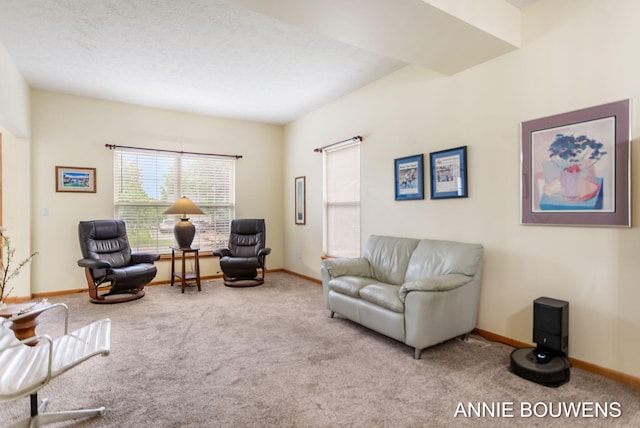 10852 Thornberry Way, Zeeland, MI 49464 - photo 12