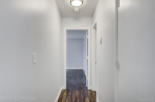 24650 Westhampton St, Oak Park, MI 48237 - photo 17