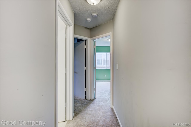 24650 Westhampton St, Oak Park, MI 48237 - photo 25