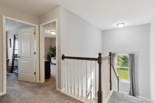 2236 Adel Dr, Wixom, MI 48393 - photo 35