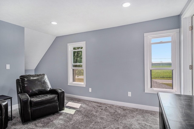 8666 S Warner Ave, Fremont, MI 49412 - photo 16
