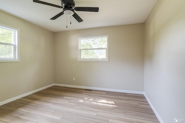 7100 Maplewood Dr, Temperance, MI 48182 - photo 29