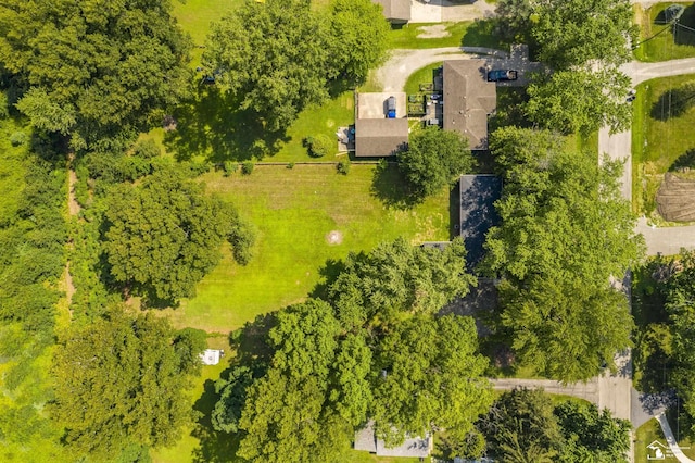 7100 Maplewood Dr, Temperance, MI 48182 - photo 9