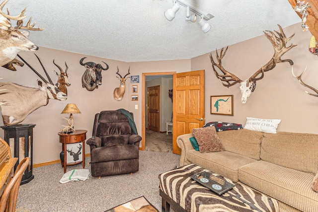 3477 N Peterson Rd, Ludington, MI 49431 - photo 28