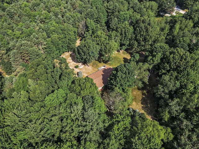 3477 N Peterson Rd, Ludington, MI 49431 - photo 41