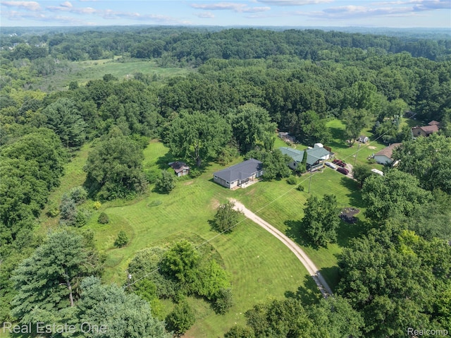 271 Rush Lake Rd, Pinckney, MI 48169 - photo 23