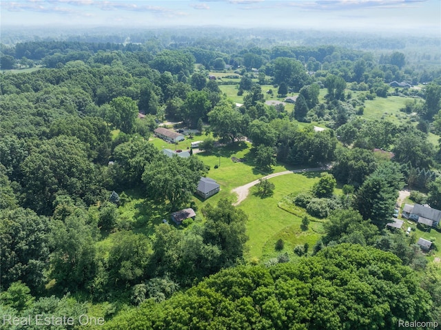 271 Rush Lake Rd, Pinckney, MI 48169 - photo 24