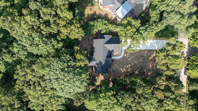 6264 Chippewa Ave, Saugatuck, MI 49453 - photo 55