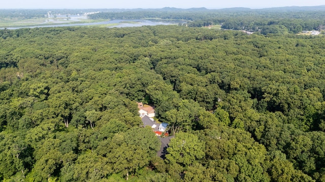 6264 Chippewa Ave, Saugatuck, MI 49453 - photo 56