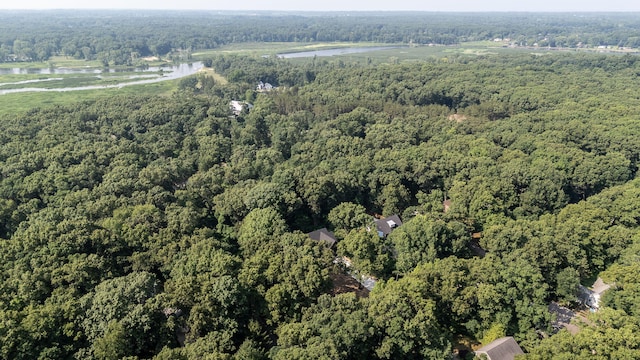 6264 Chippewa Ave, Saugatuck, MI 49453 - photo 57