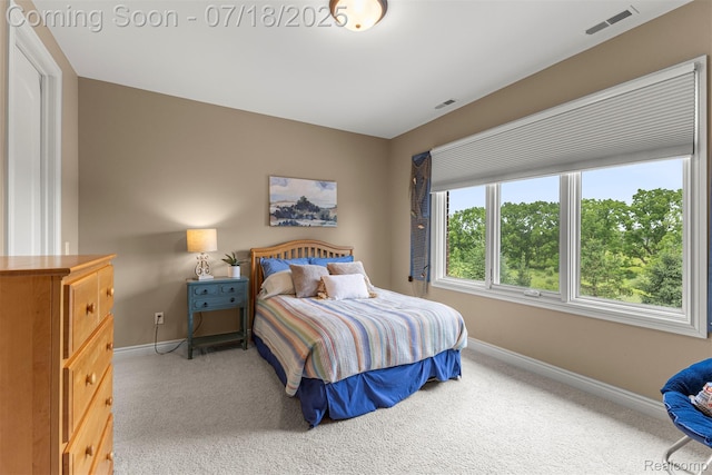 49277 Chianti Dr, Northville, MI 48167 - photo 40