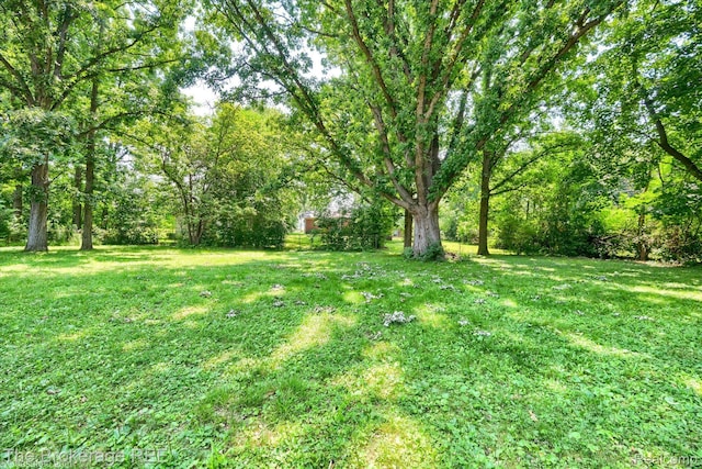 5312 Michael Ct, Grand Blanc, MI 48439 - photo 37