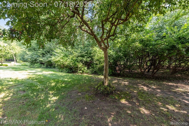 24030 Bingham Pointe Dr Unit 3, Bingham Farms, MI 48025 - photo 47