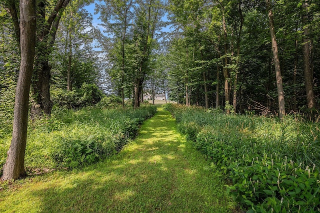 67025 46th Ave, Hartford, MI 49057 - photo 47