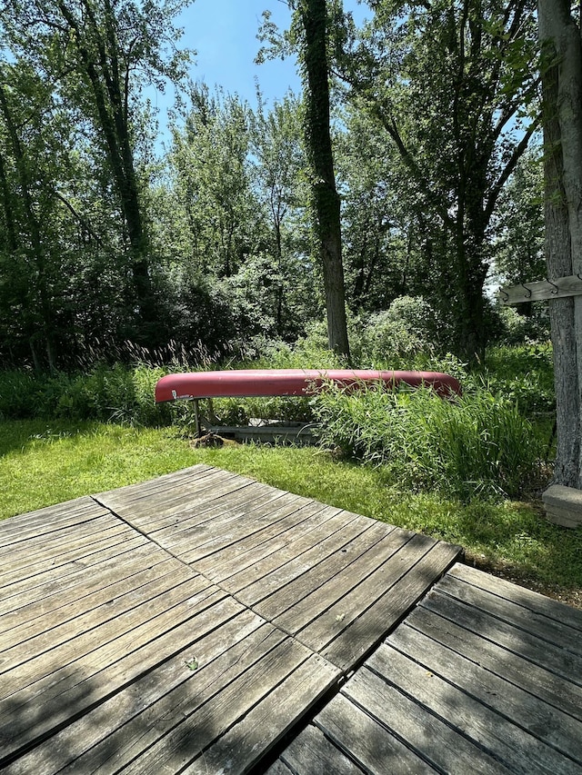 67025 46th Ave, Hartford, MI 49057 - photo 45