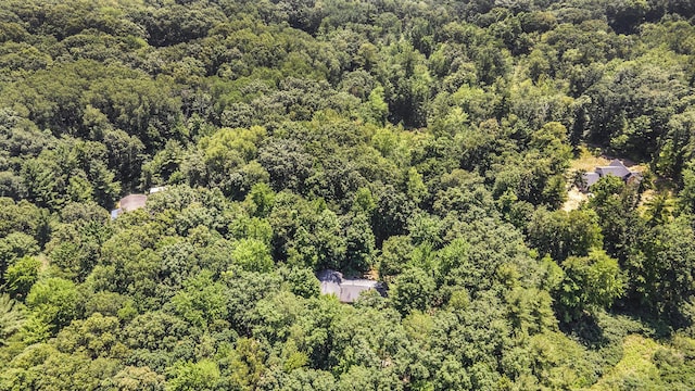6767 Wildwood Ct, Cedar Springs, MI 49319 - photo 35