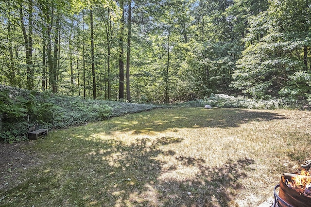 6767 Wildwood Ct, Cedar Springs, MI 49319 - photo 30