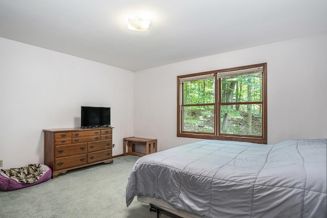6767 Wildwood Ct, Cedar Springs, MI 49319 - photo 18