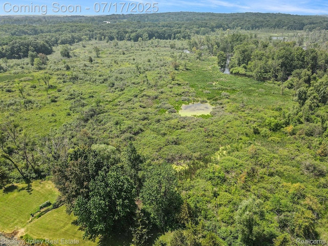 8900 Rickett Rd, Brighton, MI 48116 - photo 34