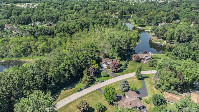 7360 Ellingrove Dr, White Lake, MI 48383 - photo 33
