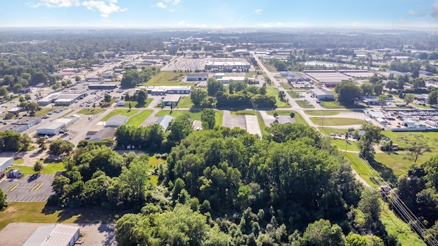 4639 Corporate Dr, Mount Pleasant, MI 48858 - photo 2
