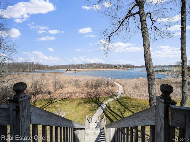 4965 Grover Dr, Brighton, MI 48116 - photo 2