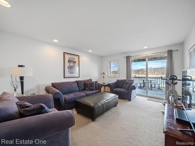 4965 Grover Dr, Brighton, MI 48116 - photo 26
