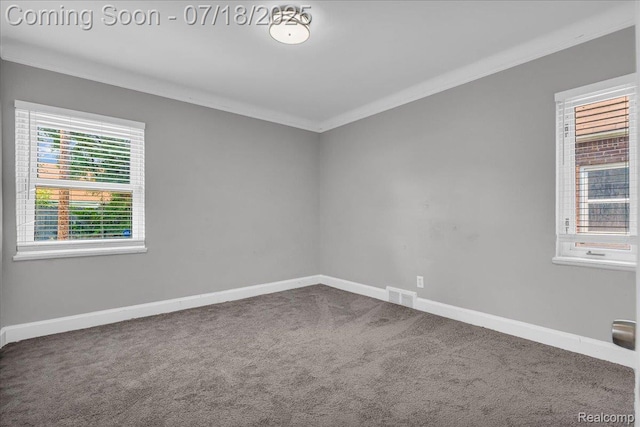 17343 Ilene St, Detroit, MI 48221 - photo 17