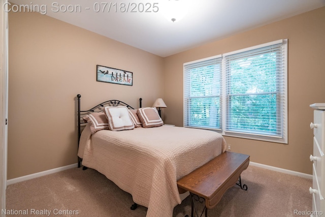 3509 Discus Ct, Lake Orion, MI 48360 - photo 27