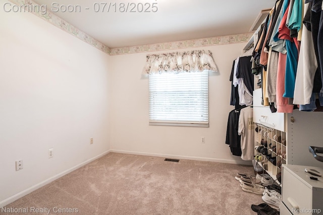 3509 Discus Ct, Lake Orion, MI 48360 - photo 30