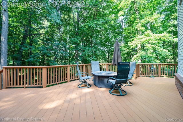 3509 Discus Ct, Lake Orion, MI 48360 - photo 35