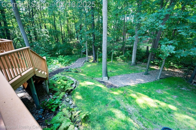 3509 Discus Ct, Lake Orion, MI 48360 - photo 36