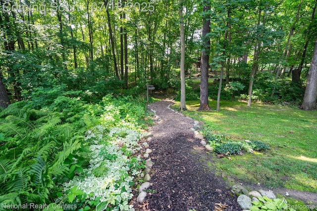 3509 Discus Ct, Lake Orion, MI 48360 - photo 40