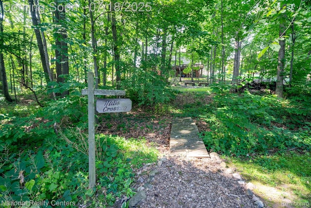 3509 Discus Ct, Lake Orion, MI 48360 - photo 41