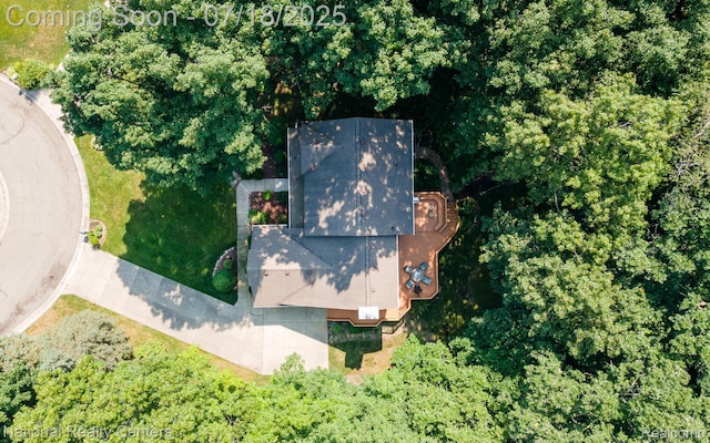3509 Discus Ct, Lake Orion, MI 48360 - photo 45