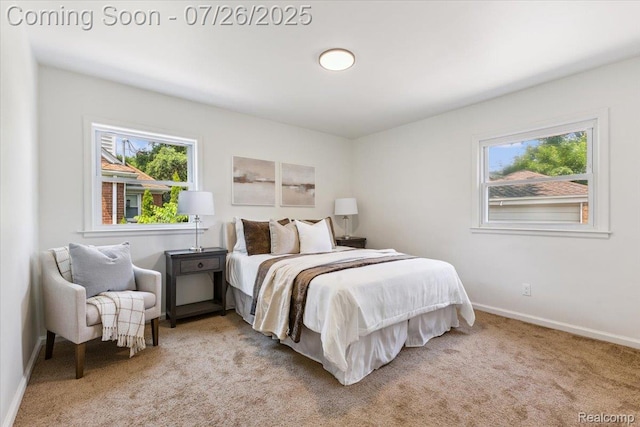 1808 W 12 Mile Rd, Royal Oak, MI 48073 - photo 16