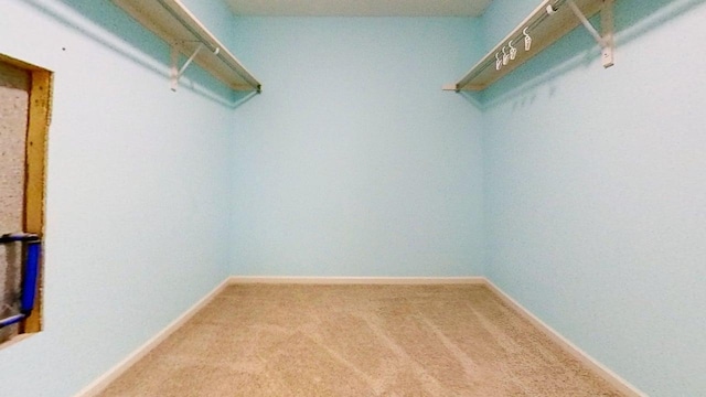 7832 Forestview Dr, Haslett, MI 48840 - photo 15