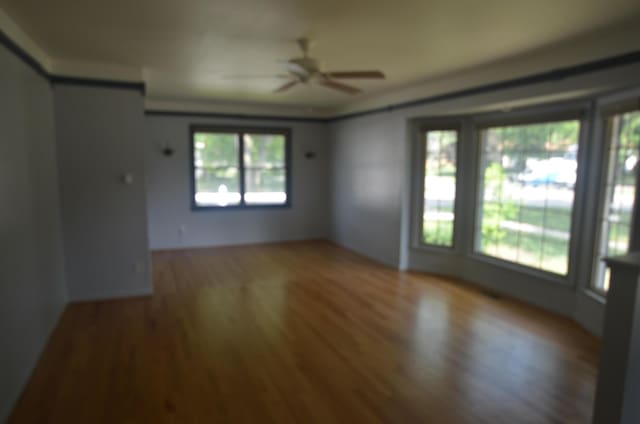 38605 W Ann Arbor Trl, Livonia, MI 48150 - photo 6
