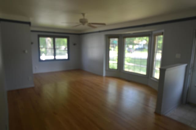 38605 W Ann Arbor Trl, Livonia, MI 48150 - photo 3
