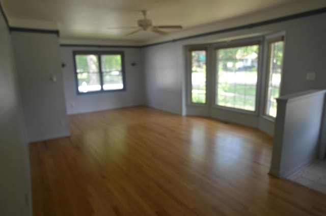38605 W Ann Arbor Trl, Livonia, MI 48150 - photo 5